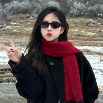 哈利波特:凤凰会的密令